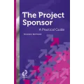 Being the project sponsor