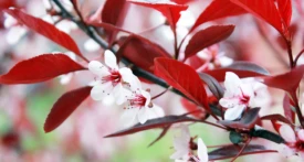 Wat is agile werken: 7 valkuilen en 7 tips