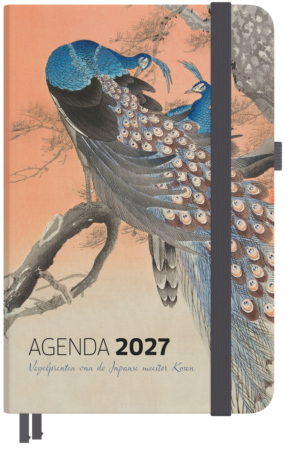 Agenda 2027
