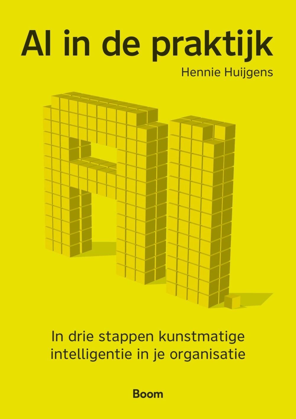 AI in de praktijk