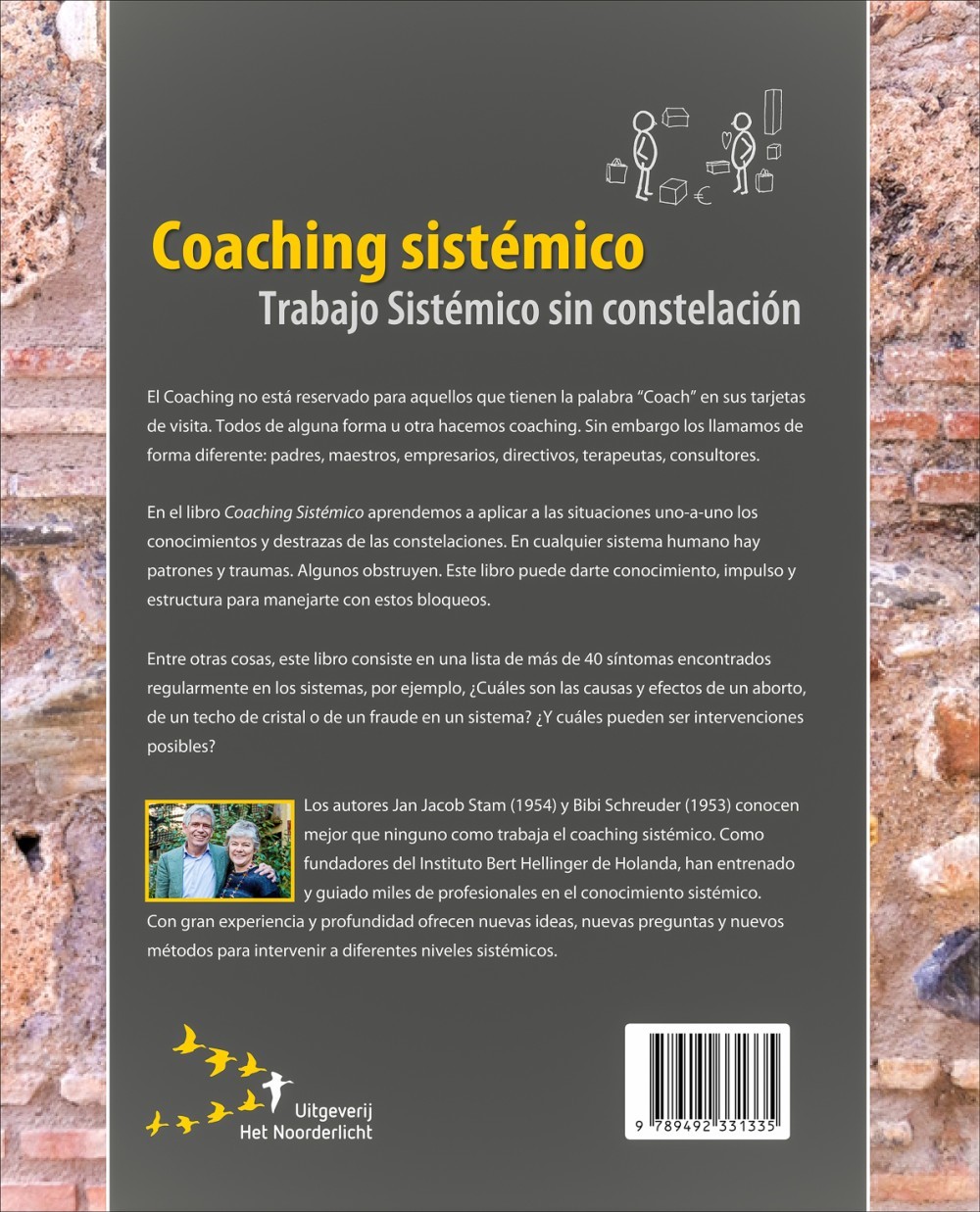 Coaching sistémico