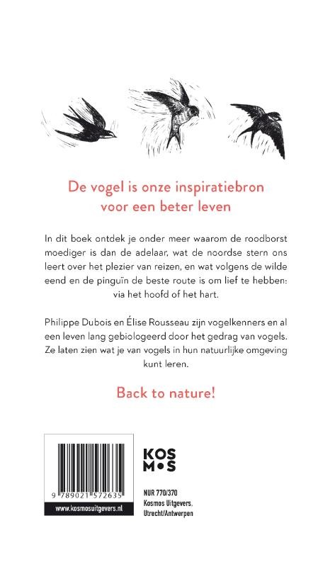 De 22 levenslessen die vogels ons leren