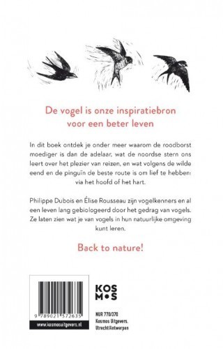 De 22 levenslessen die vogels ons leren