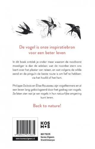 De 22 levenslessen die vogels ons leren