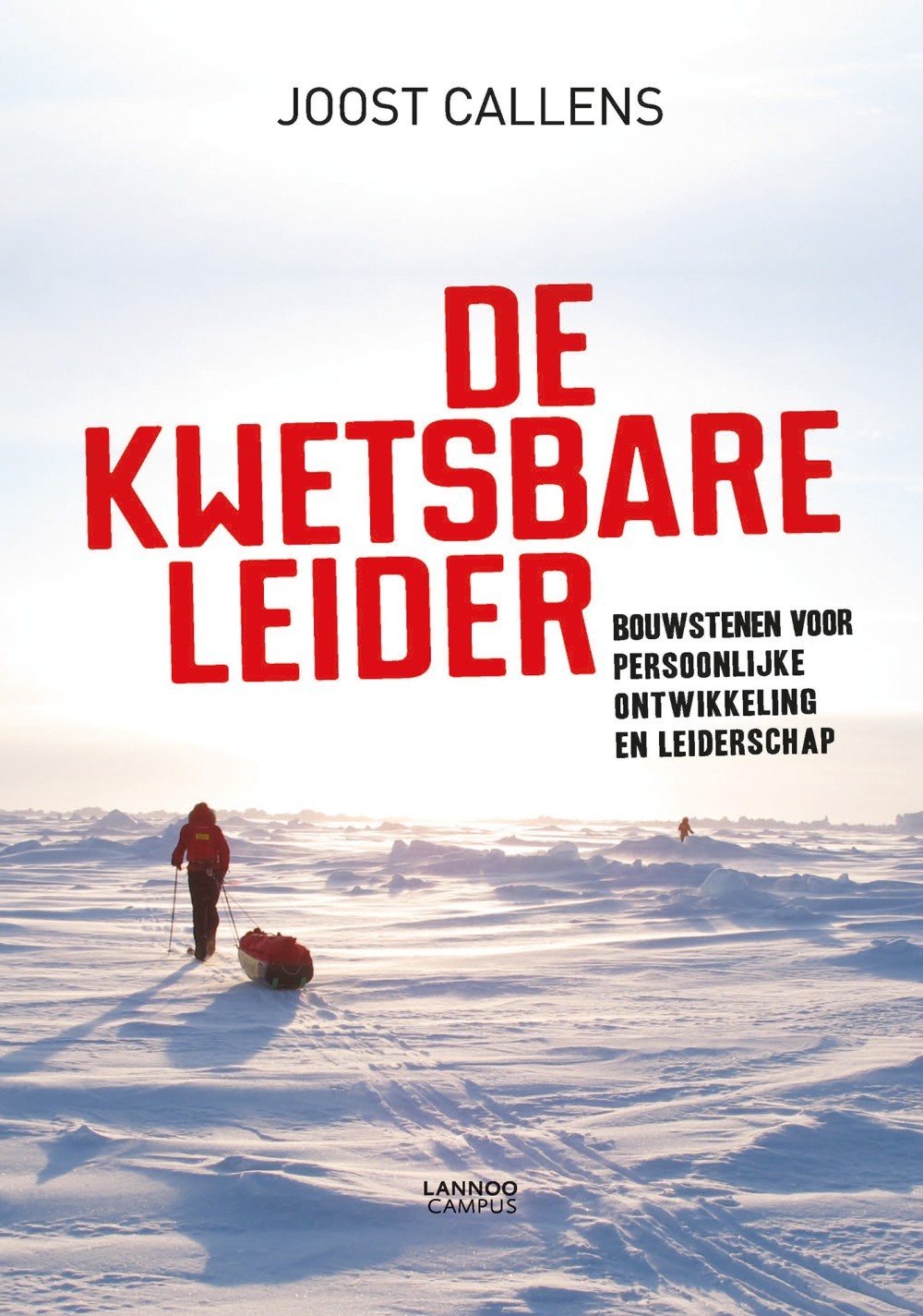 De kwetsbare leider