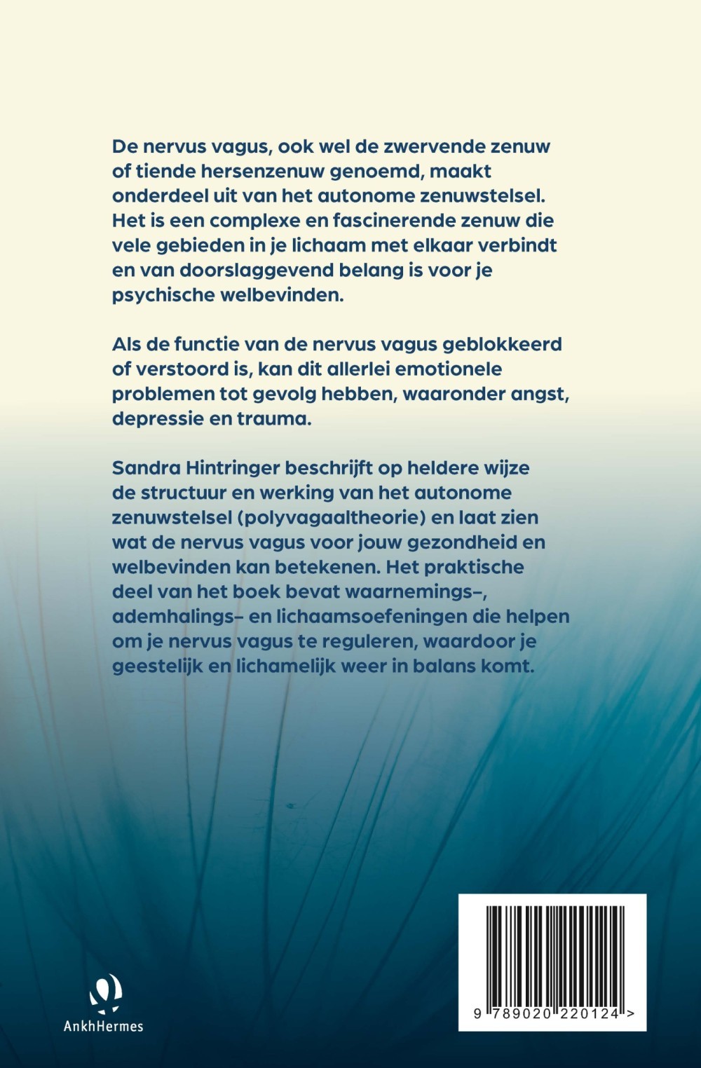 De nervus vagus, onze innerlijke therapeut