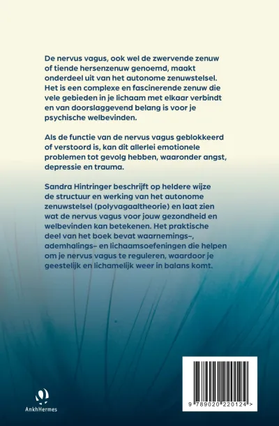 De nervus vagus, onze innerlijke therapeut