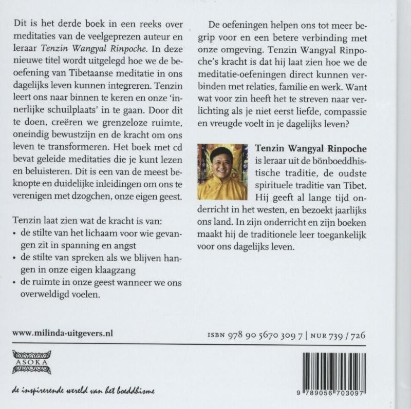 De stralende geest