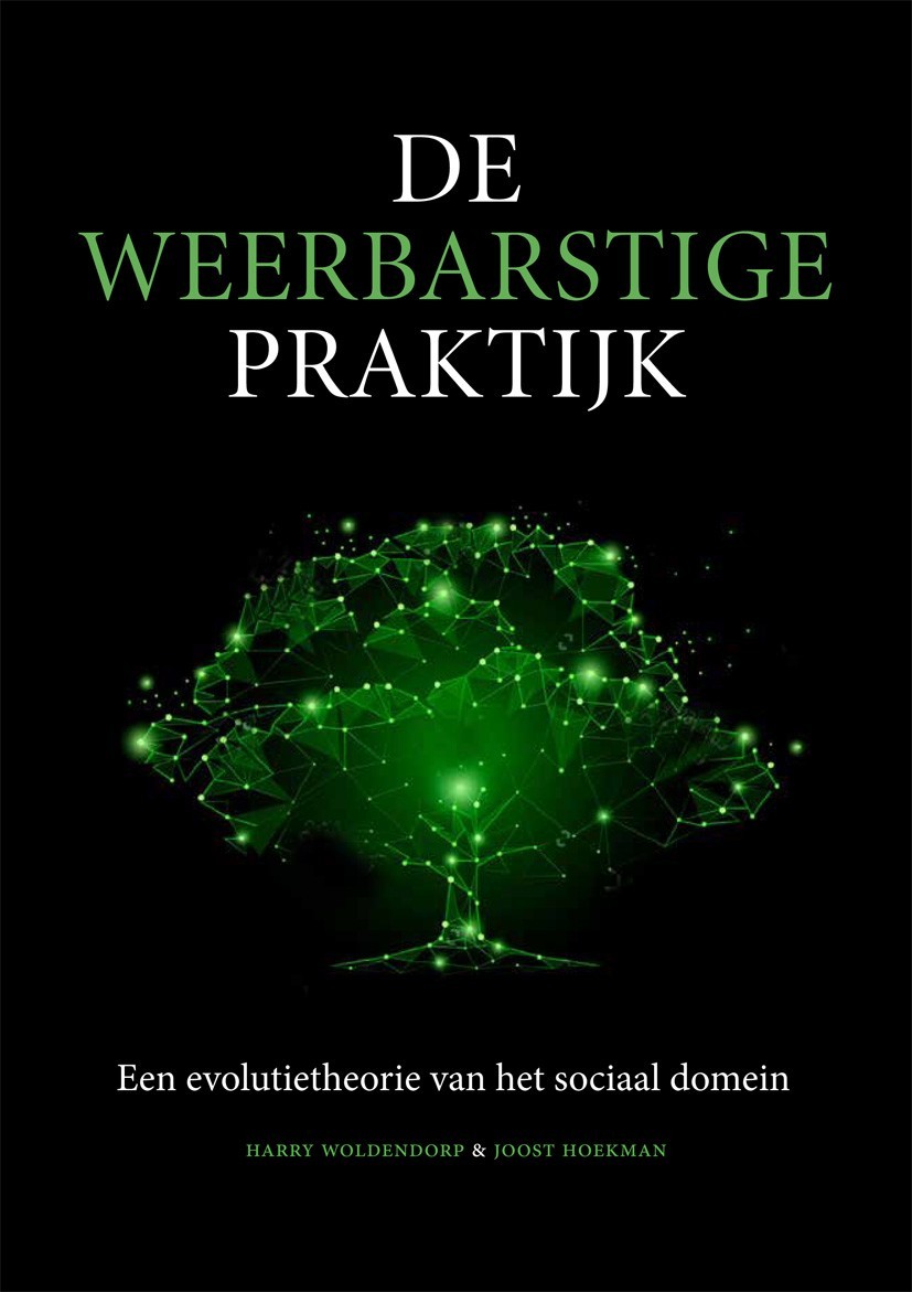 De weerbarstige praktijk