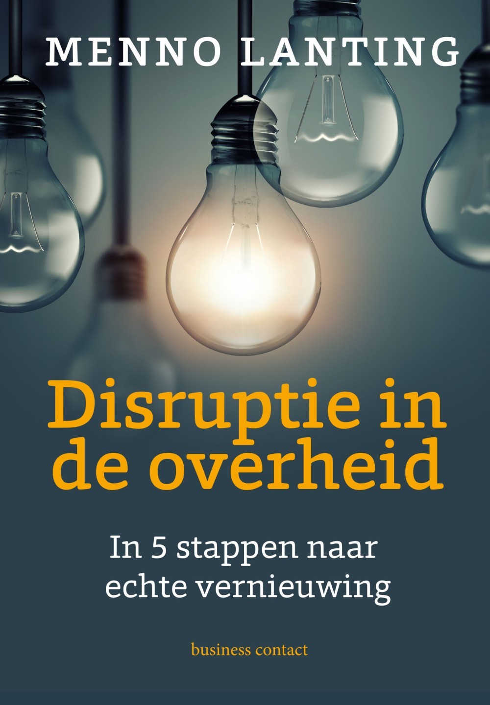 Disruptie in de overheid