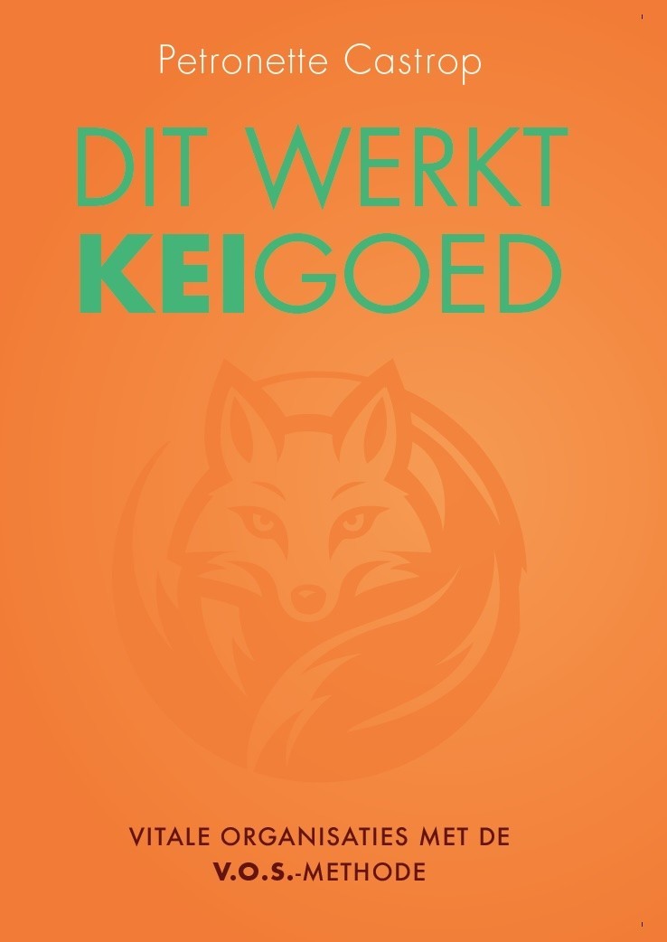 Dit werkt keigoed