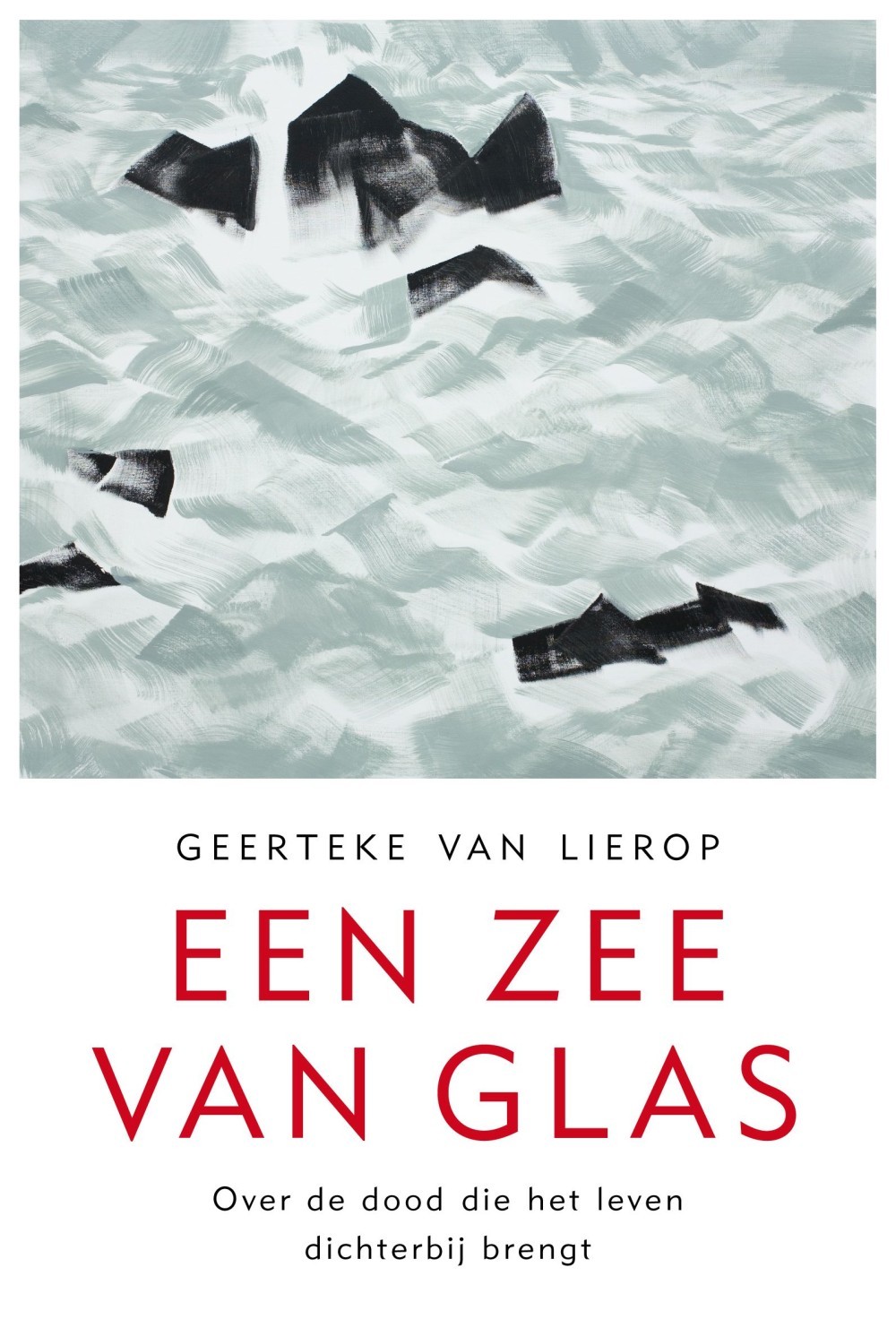 Een zee van glas