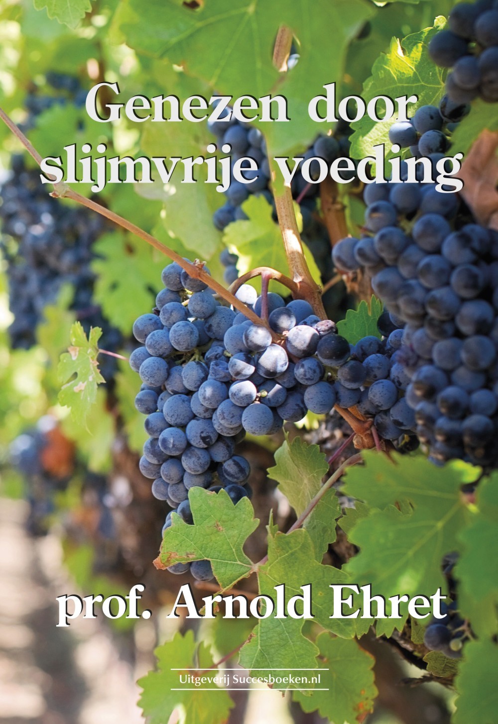 Genezen door slijmvrije voeding