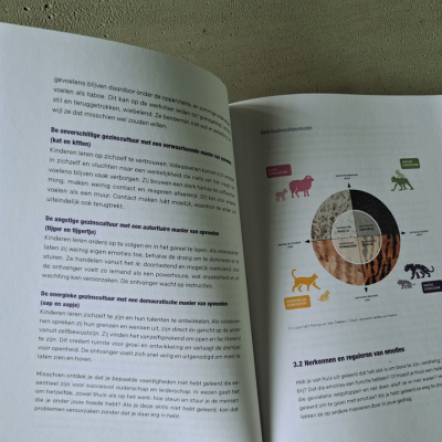 Grote Harige (Organisatiecultuur)Vragen