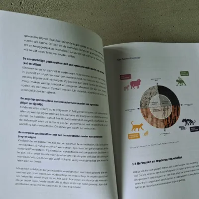 Grote Harige (Organisatiecultuur)Vragen
