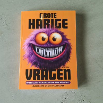 Grote Harige (Organisatiecultuur)Vragen