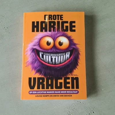 Grote Harige (Organisatiecultuur)Vragen