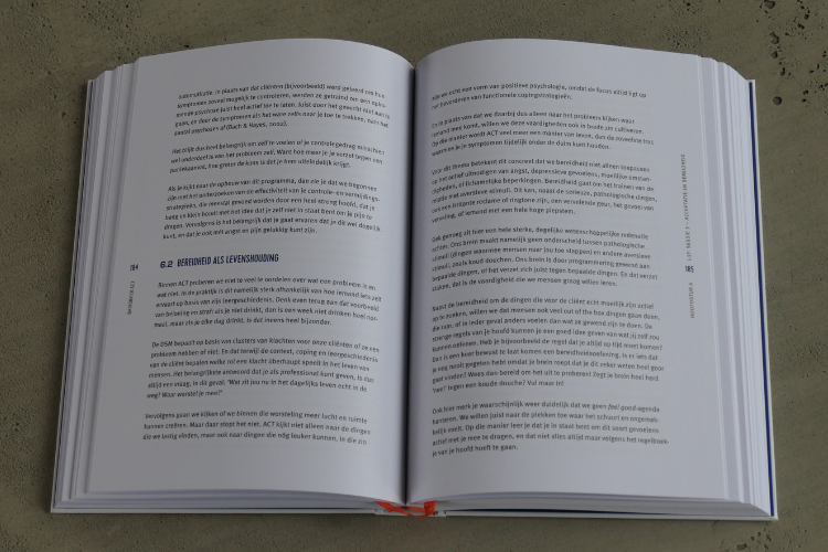 Het ACT basisboek
