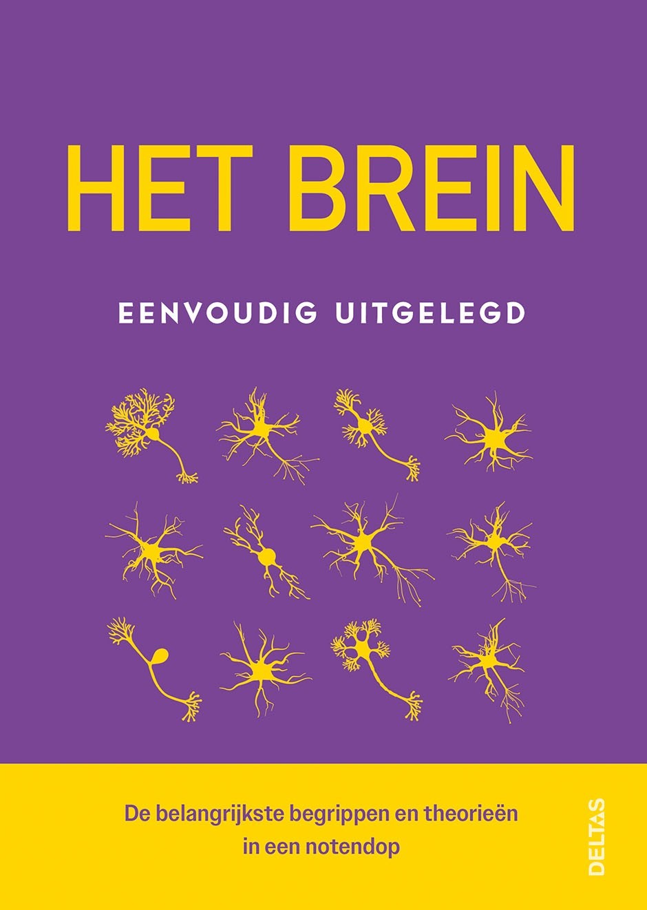 Het brein eenvoudig uitgelegd