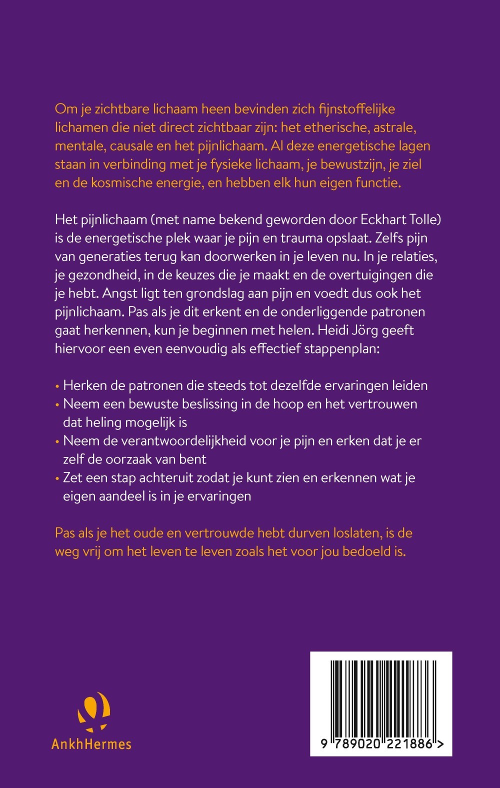Het pijnlichaam