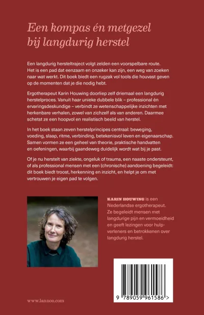 Het slingerpad van herstel
