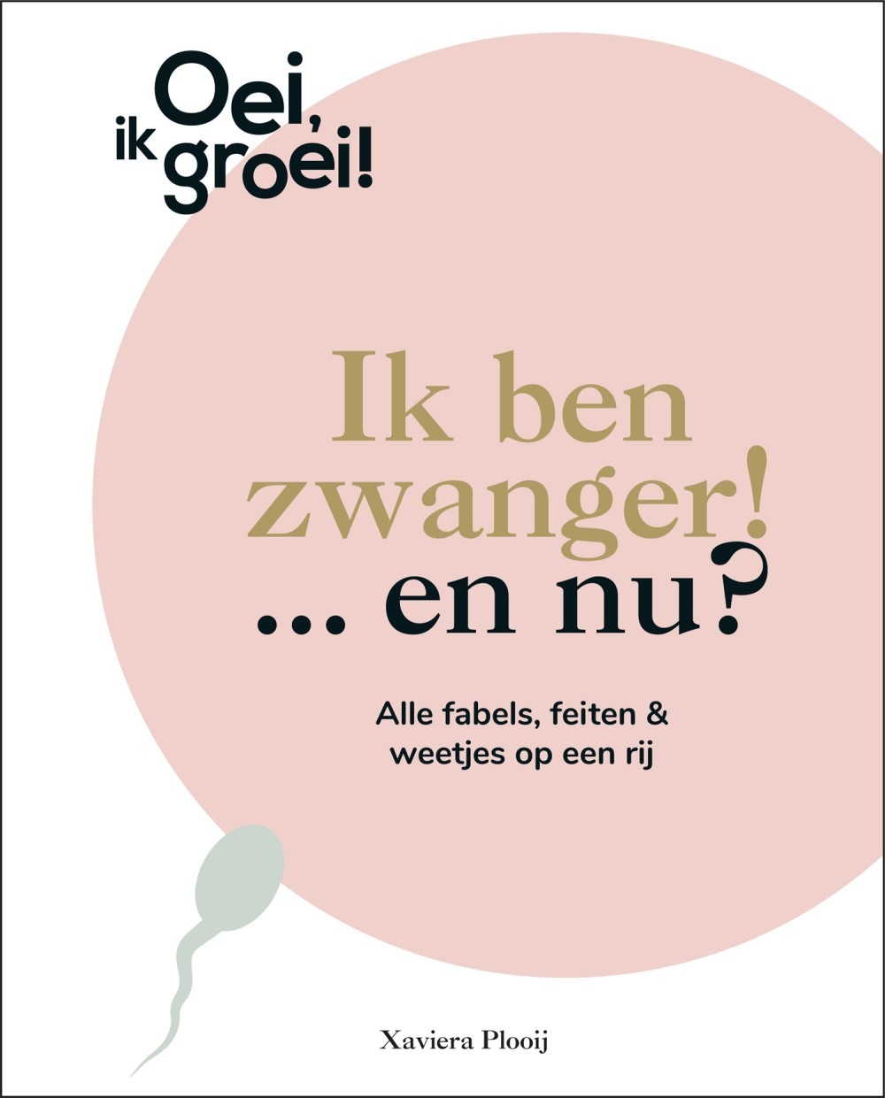 Ik ben zwanger! … en nu?
