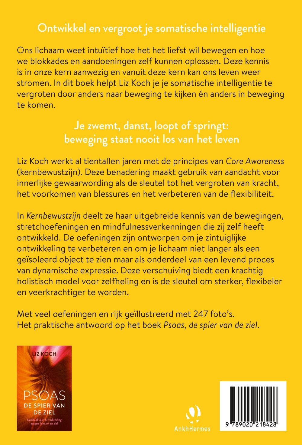 Kernbewustzijn