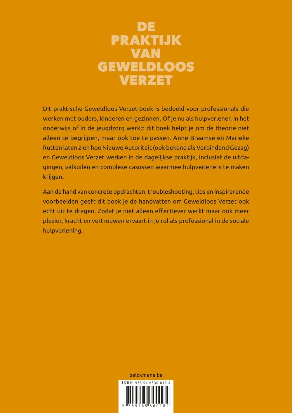 Krachtig Werk: De praktijk van Geweldloos Verzet