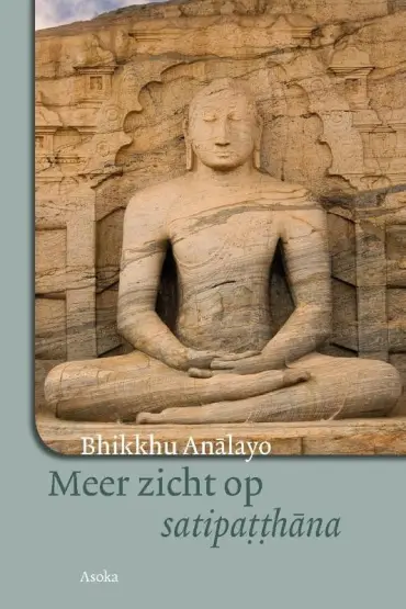 Meer zicht op satipatthana