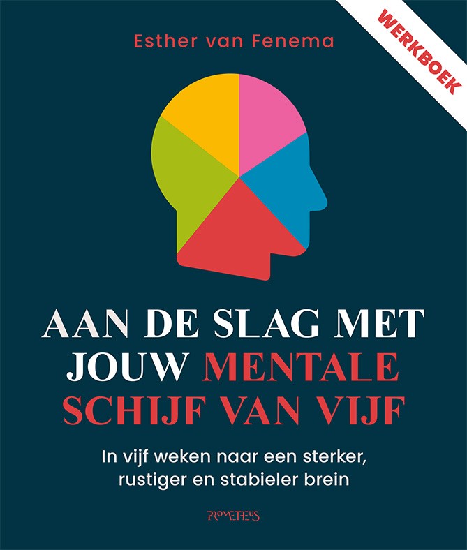 Mentale schijf van vijf werkboek