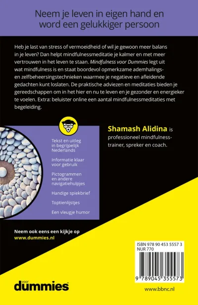 Mindfulness voor Dummies