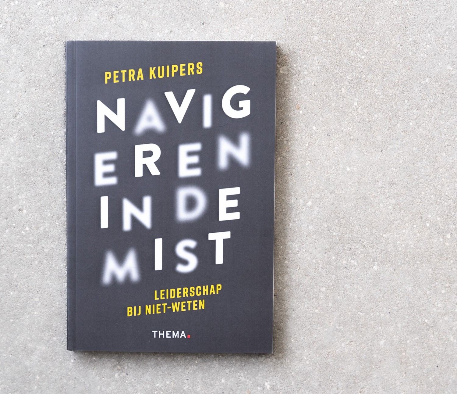Navigeren in de mist