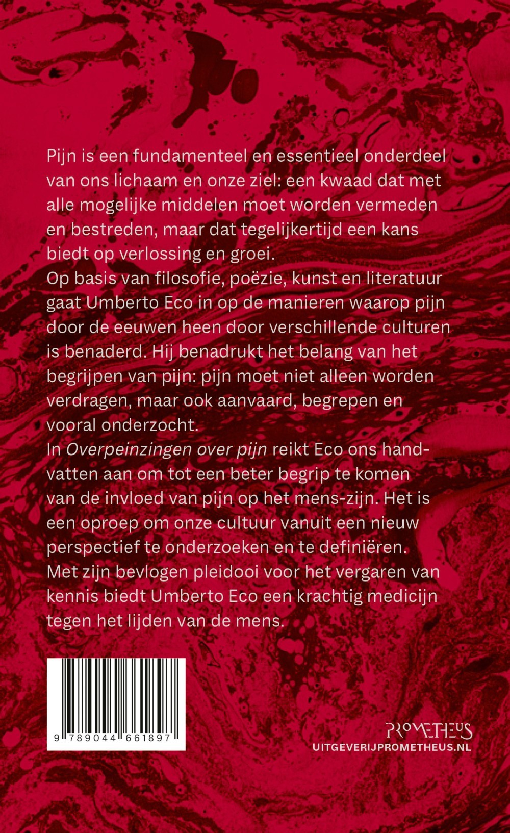 Overpeinzingen over pijn