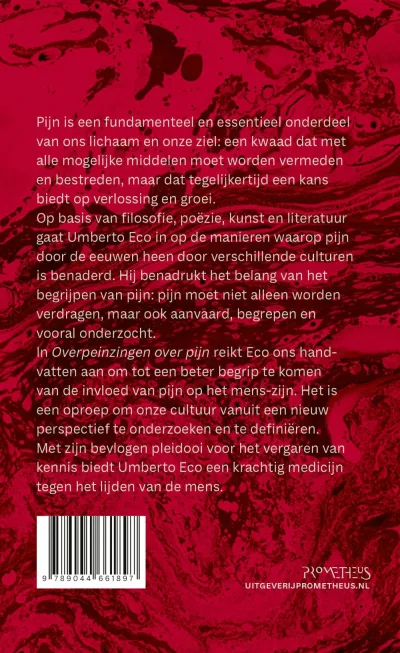Overpeinzingen over pijn