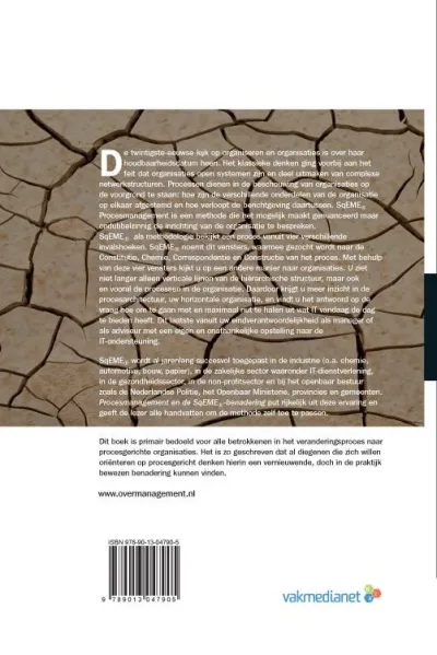 Procesmanagement en de SqEME-benadering