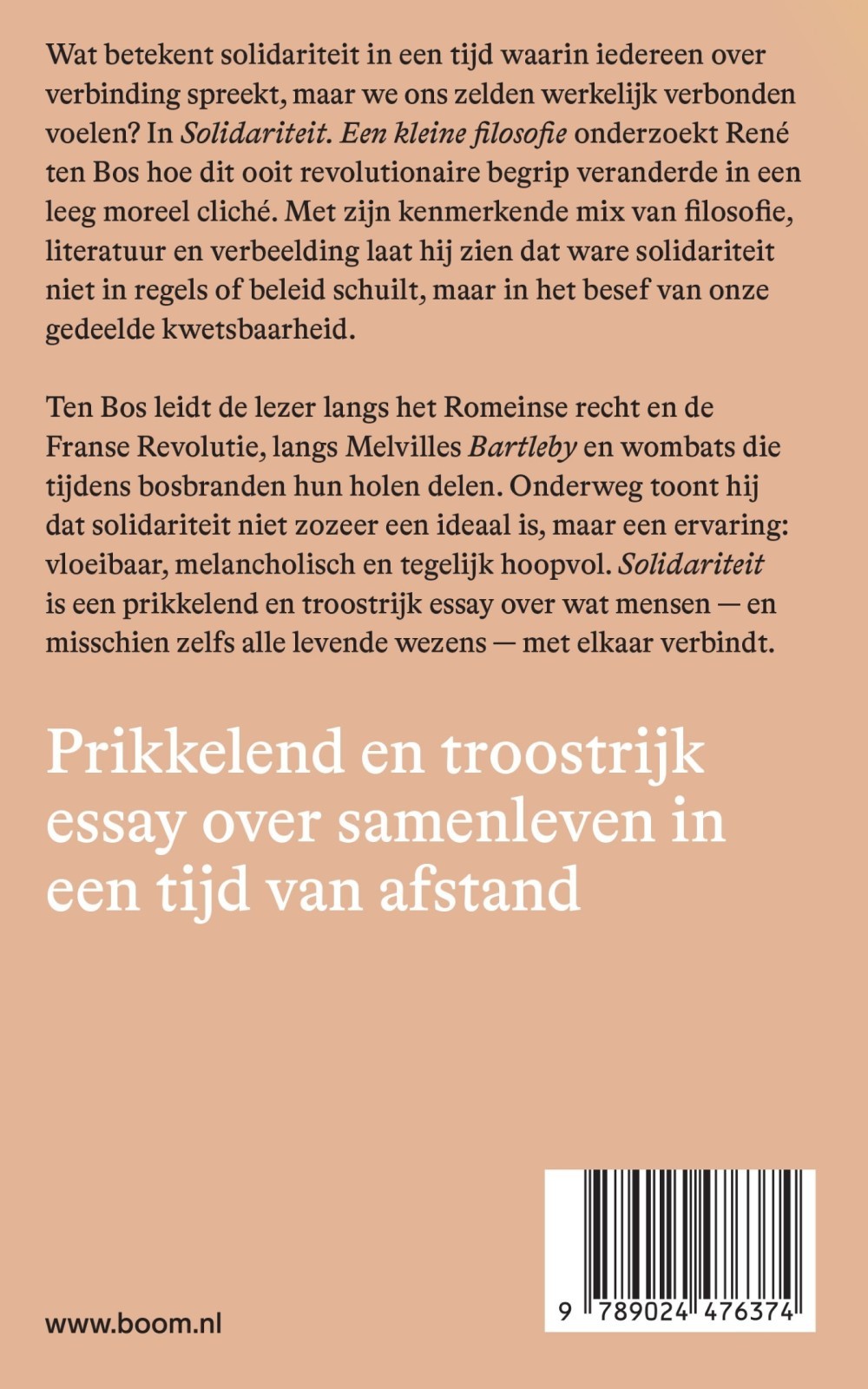 Solidariteit