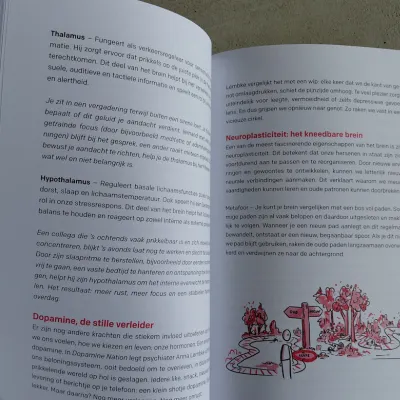 Stop je saboteurs en doorbreek het patroon