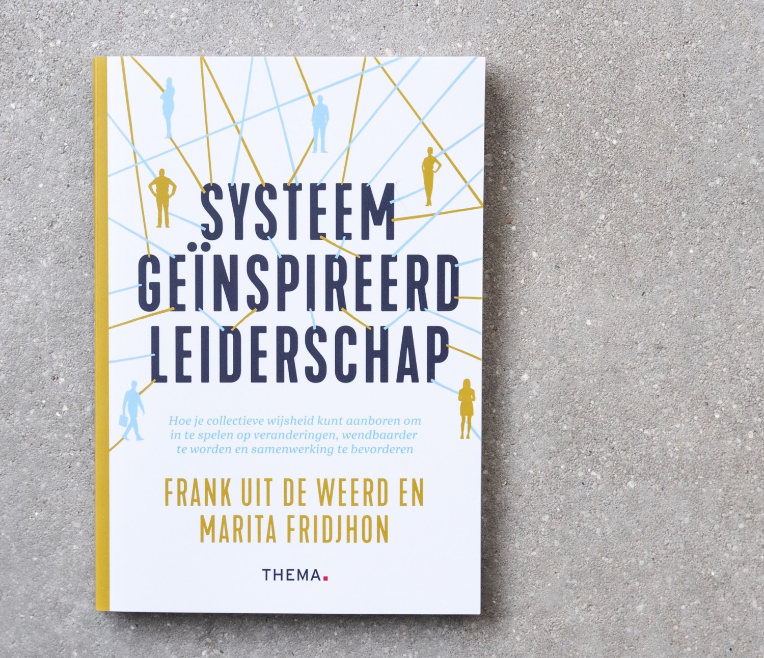 Systeem Geïnspireerd Leiderschap