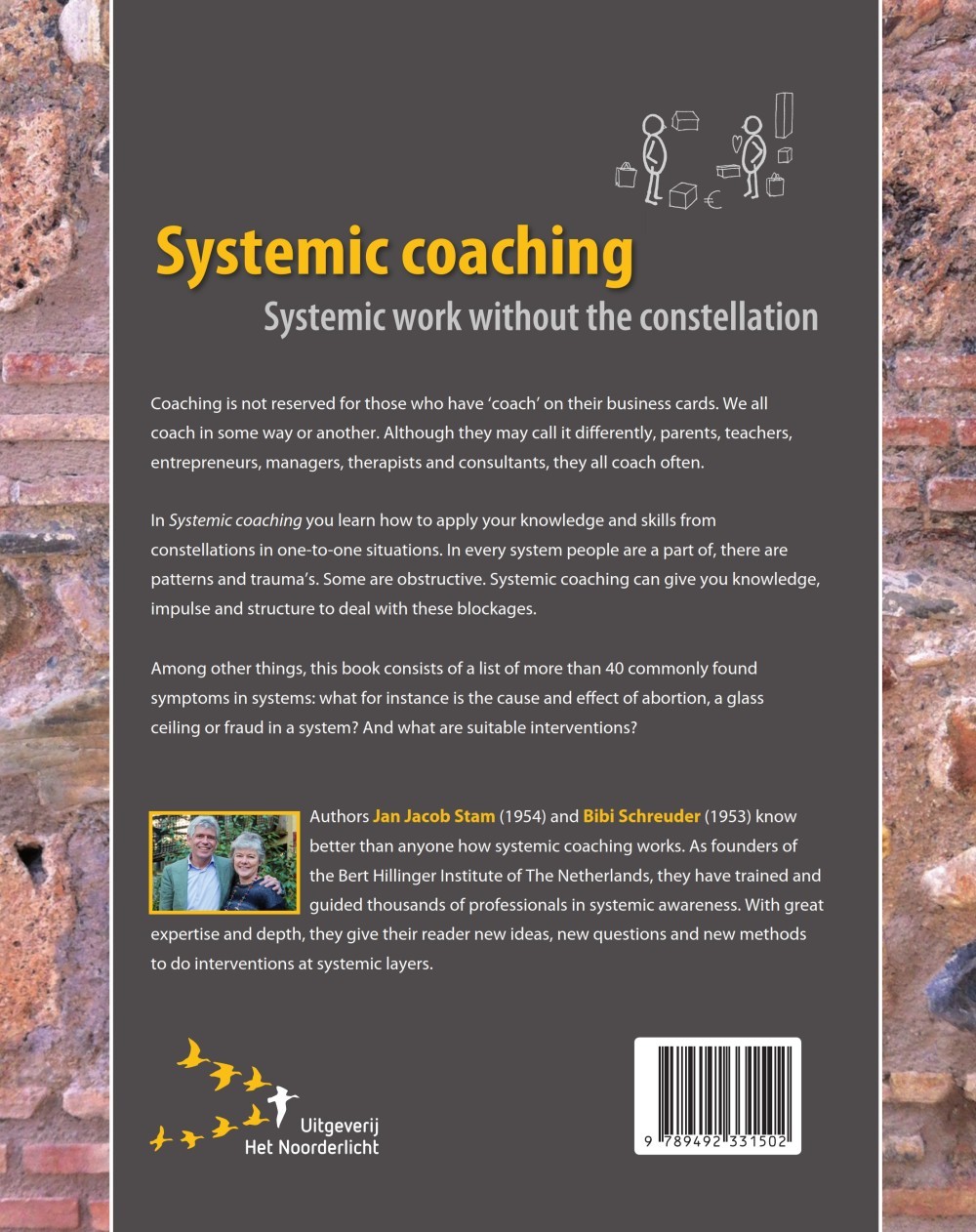 Systemic coaching