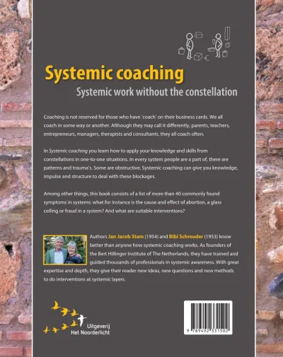 Systemic coaching