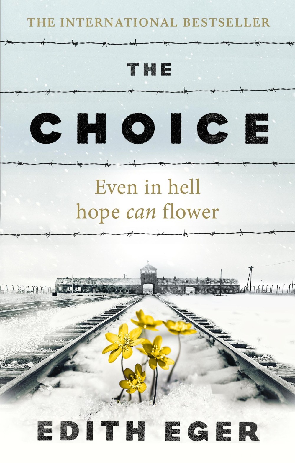 The Choice