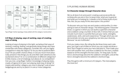 The Paidia Principle