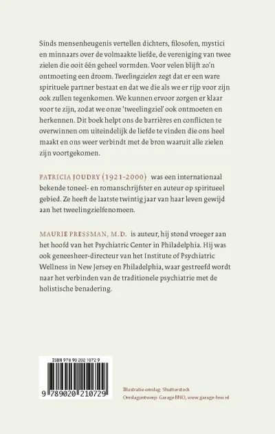 Tweelingzielen