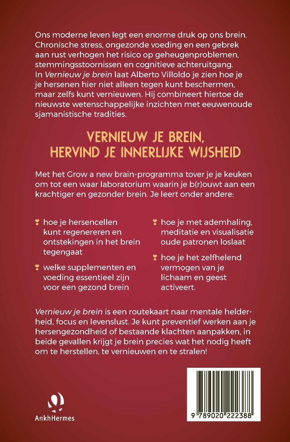 Vernieuw je brein