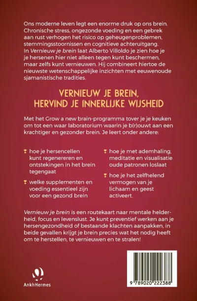 Vernieuw je brein