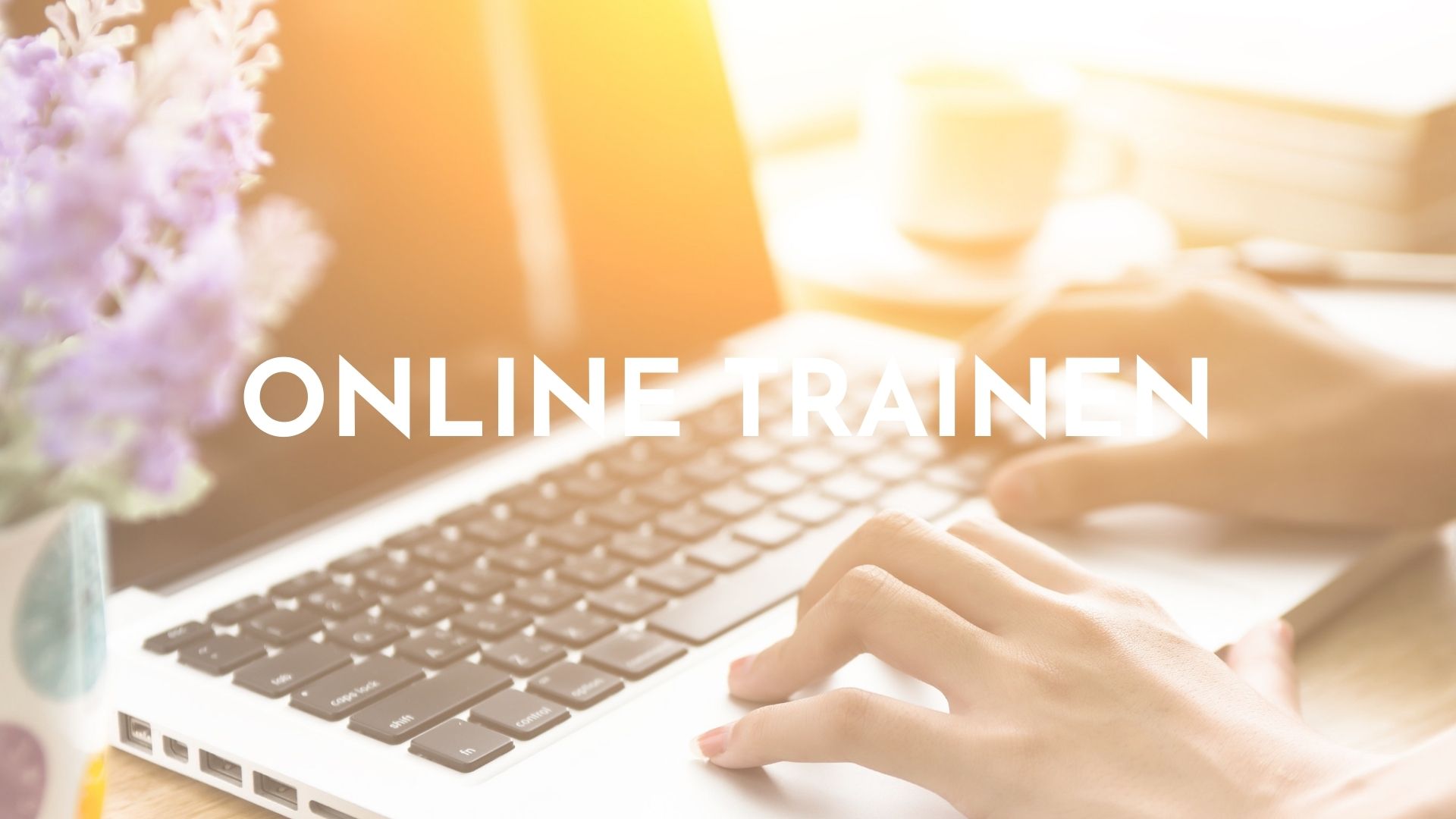 Online trainen banner