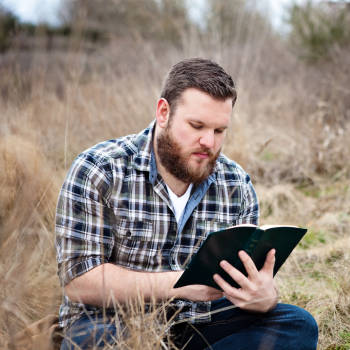 Man leest boek in grasveld